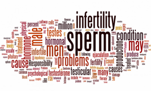Male-Infertility-Word-Cloud-1024x614-700x420
